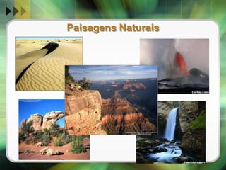 Técnicas de Pesquisa