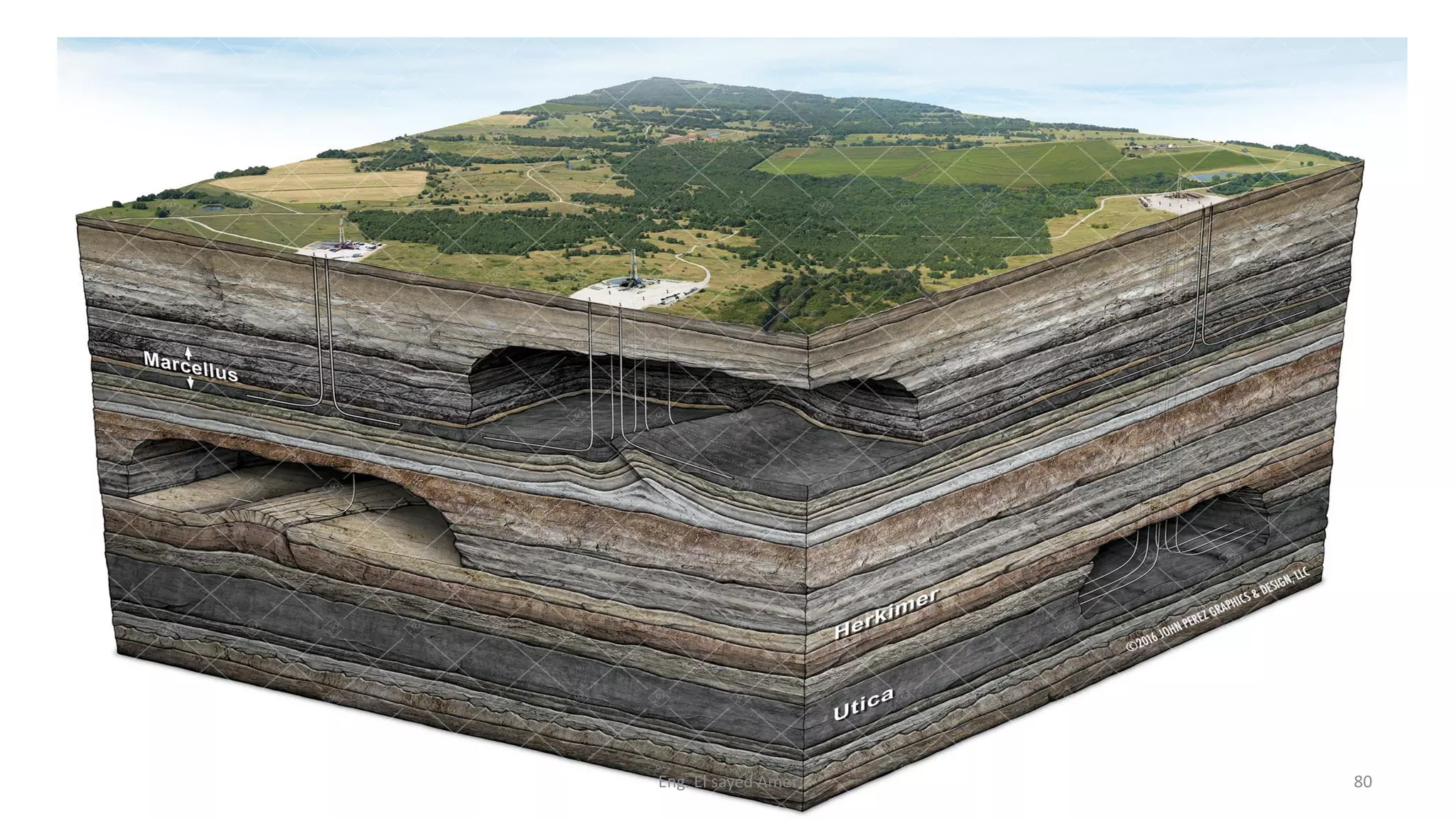 Eng. El sayed Amer 80
 