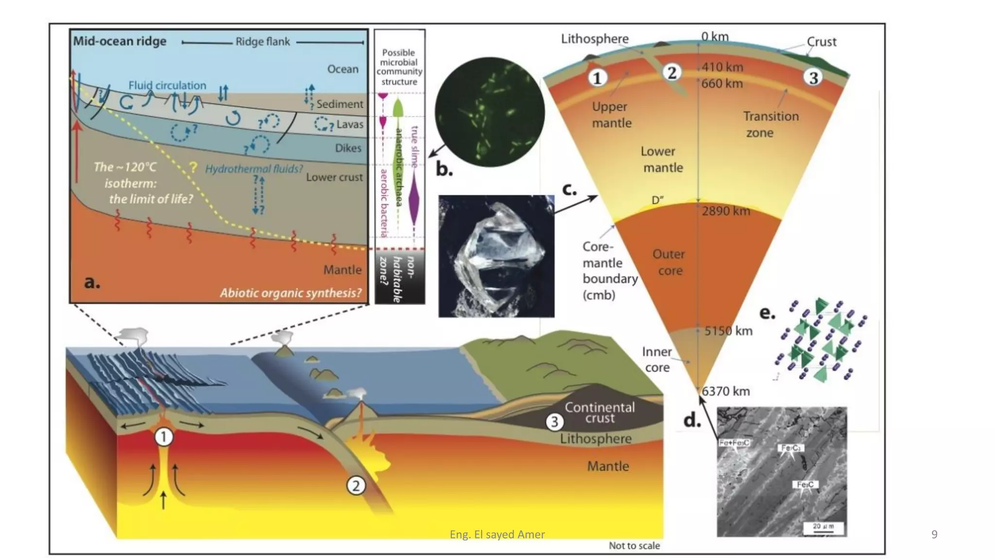 Eng. El sayed Amer 9
 