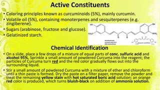 Active Constituents
• Coloring principles known as curcuminoids (5%), mainly curcumin.
• Volatile oil (5%), containing monoterpenes and sesquiterpenes (e.g.
zingiberene).
• Sugars (arabinose, fructose and glucose).
• Gelatinized starch.
Chemical Identification
• On a slide, place a few drops of a mixture of equal parts of conc. sulfuric acid and
alcohol 95%. Sprinkle a small amount of powdered Curcuma into the reagent; the
particles of Curcuma turn red and the red color gradually flows out into the
surrounding liquid.
• Stir a small amount of powdered Curcuma with a mixture of ether and chloroform
until a thin paste is formed. Dry the paste on a filter paper, remove the powder and
treat the remaining yellow stain with hot saturated boric acid solution; an orange
red color is produced, which turns bluish-black on addition of ammonia solution.
 