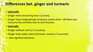 Differences bet. ginger and turmeric
• externally
• Ginger more branching than Curcuma.
• Ginger have longitudinally striations comes from V.B fibers but
Curcuma has wrinkles due to cork fissures.
• internally
• Ginger without cork (c.f curcuma).
• Ginger have wider steel and lesser cortex (c.f curcuma).
• - Non lignified elements.
 