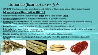 Liquorice (licorice) ‫سوس‬ ‫عرق‬
• origin: Dried unpeeled or peeled roots and stolons of Glycyrrhiza glabra (Fam. Leguminosae).
• Morphological Description: (Dicot.)
• Liquorice has a faint characteristic odor and a very sweet taste.
• Spanish Liquorice consists of roots and rhizomes, in cylindrical pieces.
• Externally, the unpeeled is dark brown to reddish brown in color, longitudinally wrinkled, bearing
small dark buds in rhizomes or circular transverse rootlet-scars in roots.
• Peeled Spanish Liquorice is yellow in color, smooth, fibrous and finely striated.
• Internally, it shows a distinct cambium ring, separating the yellowish-grey bark from the yellow wood.
A central pith is present only in the rhizome.
• Russian Liquorice consists mainly of roots, in cylindrical and tapering pieces.
• Externally, the unpeeled is purplish-brown and scaly, while the peeled is yellowish and coarsely
striated.
 