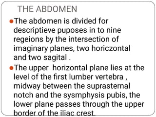 THE ABDOMEN


The abdomen is divided for
descriptieve puposes in to nine
regeions by the intersection of
imaginary planes, two horiczontal
and two sagital .
The upper horizontal plane lies at the
level of the ﬁrst lumber vertebra ,
midway between the suprasternal
notch and the sysmphysis pubis, the
lower plane passes through the upper
border of the iliac crest.
 