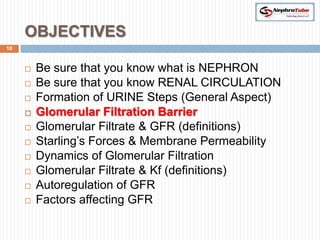 OBJECTIVES
10



        Be sure that you know what is NEPHRON
        Be sure that you know RENAL CIRCULATION
        Formation of URINE Steps (General Aspect)
        Glomerular Filtration Barrier
        Glomerular Filtrate & GFR (definitions)
        Starling’s Forces & Membrane Permeability
        Dynamics of Glomerular Filtration
        Glomerular Filtrate & Kf (definitions)
        Autoregulation of GFR
        Factors affecting GFR
 