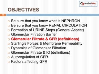 OBJECTIVES
15



        Be sure that you know what is NEPHRON
        Be sure that you know RENAL CIRCULATION
        Formation of URINE Steps (General Aspect)
        Glomerular Filtration Barrier
        Glomerular Filtrate & GFR (definitions)
        Starling’s Forces & Membrane Permeability
        Dynamics of Glomerular Filtration
        Glomerular Filtrate & Kf (definitions)
        Autoregulation of GFR
        Factors affecting GFR
 