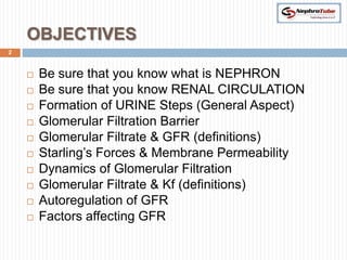 OBJECTIVES
2



       Be sure that you know what is NEPHRON
       Be sure that you know RENAL CIRCULATION
       Formation of URINE Steps (General Aspect)
       Glomerular Filtration Barrier
       Glomerular Filtrate & GFR (definitions)
       Starling’s Forces & Membrane Permeability
       Dynamics of Glomerular Filtration
       Glomerular Filtrate & Kf (definitions)
       Autoregulation of GFR
       Factors affecting GFR
 