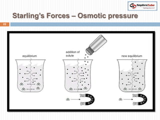 Starling’s Forces – Osmotic pressure
22
 