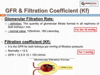GFR & Filtration Coefficient (Kf)
32

    Glomerular Filtration Rate:
        - definition: The quantity of glomerular filtrate formed in all nephrons of
         both kidneys / min.
                                                                 For the 10 mmHg
        - normal value: 125ml/min. 180 Liters/day.


    Filtration coefficient (Kf):
        It is the GFR for both kidneys per mmHg of filtration pressure.
        Normally = 12.5                                            For 1 mmHg
        GFR = 12.5 X 10 = 125 ml/min
 