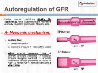 Autoregulation of GFR
34


    Under normal conditions (MAP= 80-
     180mmHg) renal autoregulation maintains
     a nearly constant glomerular filtration rate


    A- Myogenic mechanism:
        Laplace law:
            Vessel wall tension
         α Distending pressure X radius of the vessel.


        When arterial pressure rises →
         afferent arteriole stretches → vascular
         smooth muscles contract → arteriole
         resistance offsets pressure increase →
         RBF (& hence GFR) remain constant &
         vise versa
 