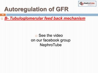 Autoregulation of GFR
40

    B- Tubuloglomerular feed back mechanism



                    See the video
                 on our facebook group
                      NephroTube
 