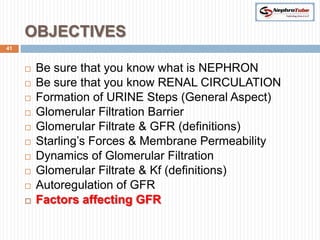 OBJECTIVES
41



        Be sure that you know what is NEPHRON
        Be sure that you know RENAL CIRCULATION
        Formation of URINE Steps (General Aspect)
        Glomerular Filtration Barrier
        Glomerular Filtrate & GFR (definitions)
        Starling’s Forces & Membrane Permeability
        Dynamics of Glomerular Filtration
        Glomerular Filtrate & Kf (definitions)
        Autoregulation of GFR
        Factors affecting GFR
 