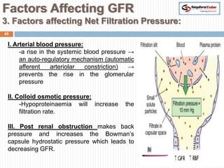 Factors Affecting GFR
3. Factors affecting Net Filtration Pressure:
45


 I. Arterial blood pressure:
      -a rise in the systemic blood pressure →
      an auto-regulatory mechanism (automatic
      afferent     arteriolar constriction)  →
      prevents the rise in the glomerular
      pressure

 II. Colloid osmotic pressure:
      -Hypoproteinaemia will increase     the
      filtration rate.

 III. Post renal obstruction makes back
 pressure and increases the Bowman’s
 capsule hydrostatic pressure which leads to
 decreasing GFR.
 