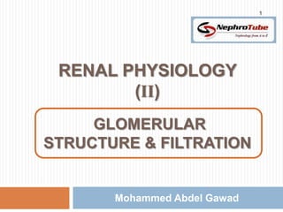 1




 RENAL PHYSIOLOGY
        (II)
           m
     GLOMERULAR
STRUCTURE & FILTRATION


       Mohammed Abdel Gawad
 