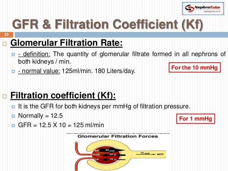 Renal Physiology (II) Glomerular Structure & Filtration