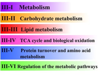 III-II  Carbohydrate metabolism III-III  Lipid metabolism III-V  Protein turnover and amino acid    metabolism III-IV  TCA cycle and biological oxidation III-VI  Regulation of the metabolic pathways III-I  Metabolism 