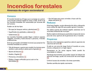 78
Amenaza de origen socionatural
Incendios forestales
Amenaza de origen socionatural
Conozca
El incendio forestal es el fuego que se propaga sin control,
consumiendo material vegetal en áreas rurales. El 95 % de
los incendios forestales son ocasionados por acciones del
ser humano.
Pueden ser de tres tipos:
•	 De copa (en bosques nativos y plantaciones) (1).
•	 Superficiales (en pastizales y sabanas) (2).
•	 Subterráneos (3).
Los incendios forestales pueden llegar a destruir especies
vegetales, animales y hasta alcanzar a personas, viviendas
y edificaciones.
Entre las principales actividades humanas que propician los
incendios forestales se cuentan:
•	 Tala de bosques y quema para ampliar los terrenos para
siembra o para producir pastos para el ganado (4).
•	 Quema de basuras (5).
•	 Asados y fogatas (6).
•	 Pirómanos y fumadores (7).
•	 Globos y fuegos artificiales que se usan en las
festividades (8).
•	 Uso de fuego para cazar animales o hacer salir las
abejas del panal (9).
Reduzca
Evite hacer fogatas, arrojar elementos de vidrio y elementos
como colillas de cigarrillo que puedan generar incendios.
No realice quemas de material vegetal, asesórese con la
autoridad ambiental del municipio.
Realice vigilancia de bosques y pastizales en época de verano
para dar aviso oportuno de la generación de un incendio.
Prepárese
Dé aviso a los organismos operativos sobre la aparición de
columnas de humo 10.
Si está en una zona de riesgo frente al incendio en curso,
evacúe y ubíquese en un lugar seguro.
Permanezca en las zonas seguras hasta cuando las
autoridades lo indiquen.
Mantenga herramientas que puedan apoyar las labores de
extinción de fuego, ayude a la construcción de corta fuegos
11.
Limite el acceso de animales a las áreas quemadas.
Siembra semillas de rápido crecimiento.
1
2
3
4
5
6
7
8
10
11
9
 
