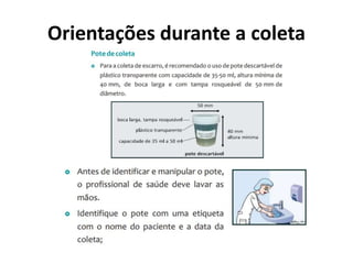 Orientações durante a coleta
 