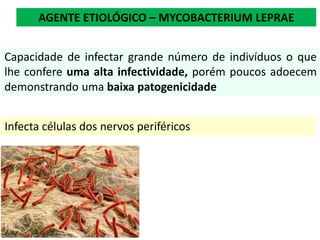 AGENTE ETIOLÓGICO – MYCOBACTERIUM LEPRAE
Capacidade de infectar grande número de indivíduos o que
lhe confere uma alta infectividade, porém poucos adoecem
demonstrando uma baixa patogenicidade
Infecta células dos nervos periféricos
 