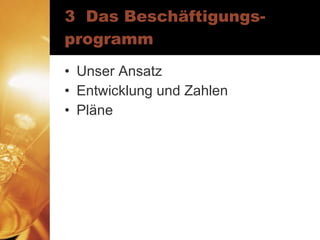 3  Das Beschäftigungs-programm Unser Ansatz Entwicklung und Zahlen Pläne 