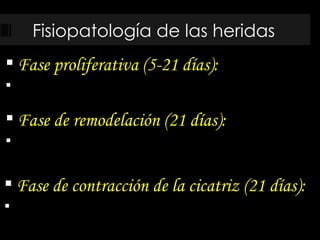 Fisiopatología de las heridas Fase proliferativa (5-21 días): Fase de remodelación (21 días): Fase de contracción de la cicatriz (21 días): 