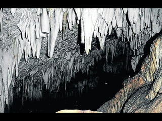 Historia de la percusión