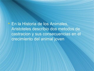 En la Historia de los Animales, Arist ote les describi o  dos m eto dos de castraci on  y sus consecuencias en el crecimiento del animal joven 
