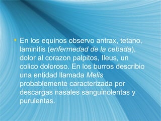 En los equinos observ o   ant rax, tetano, laminitis ( enfermedad de la cebada ), dolor al corazon p alp itos,  Il eus, un c oli co doloroso. En los burros describi o  una entidad llamada  Melis  probablemente caracterizada por descargas nasales sanguinolentas y purulentas. 