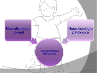 Neurofisiología                    Neurofisiología
   normal                            patológica




                  Funcionamiento
                    del cuerpo
 