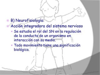  B) Neurofisiología:
 Acción integradora del sistema nervioso
     Se estudia el rol del SN en la regulación
      de la conducta de un organismo en
      interacción con su medio.
     Todo movimiento tiene una significación
      biológica.
 