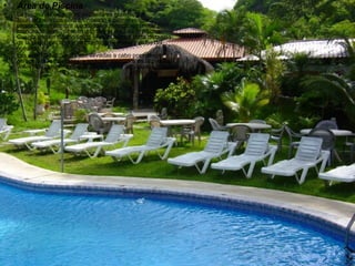 Área de Piscina  La piscina de estilo libre es bastante grande, con abundantes sitios para bronceado y palmeras que proporcionan sombra a aquéllos que prefieren limitar su bronceado pero  desean disfrutar el área de la piscina. Cuenta con un diseño único, y se localiza a corta distancia de la playa, por lo que proporciona hermosas vistas del océano.  Las actividades diarias son llevadas a cabo por nuestro personal de actividades, e incluyen ejercicios en la piscina, volleyball, caminatas por la playa y otras actividades. 