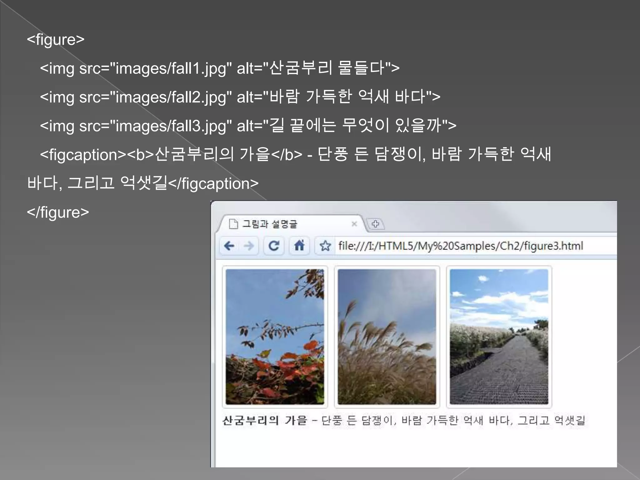 <figure>
 <img src="images/fall1.jpg" alt="산굼부리 물들다">
 <img src="images/fall2.jpg" alt="바람 가득한 억새 바다">
 <img src="images/fall3.jpg" alt="길 끝에는 무엇이 있을까">
 <figcaption><b>산굼부리의 가을</b> - 단풍 든 담쟁이, 바람 가득한 억새
바다, 그리고 억샛길</figcaption>
</figure>
 