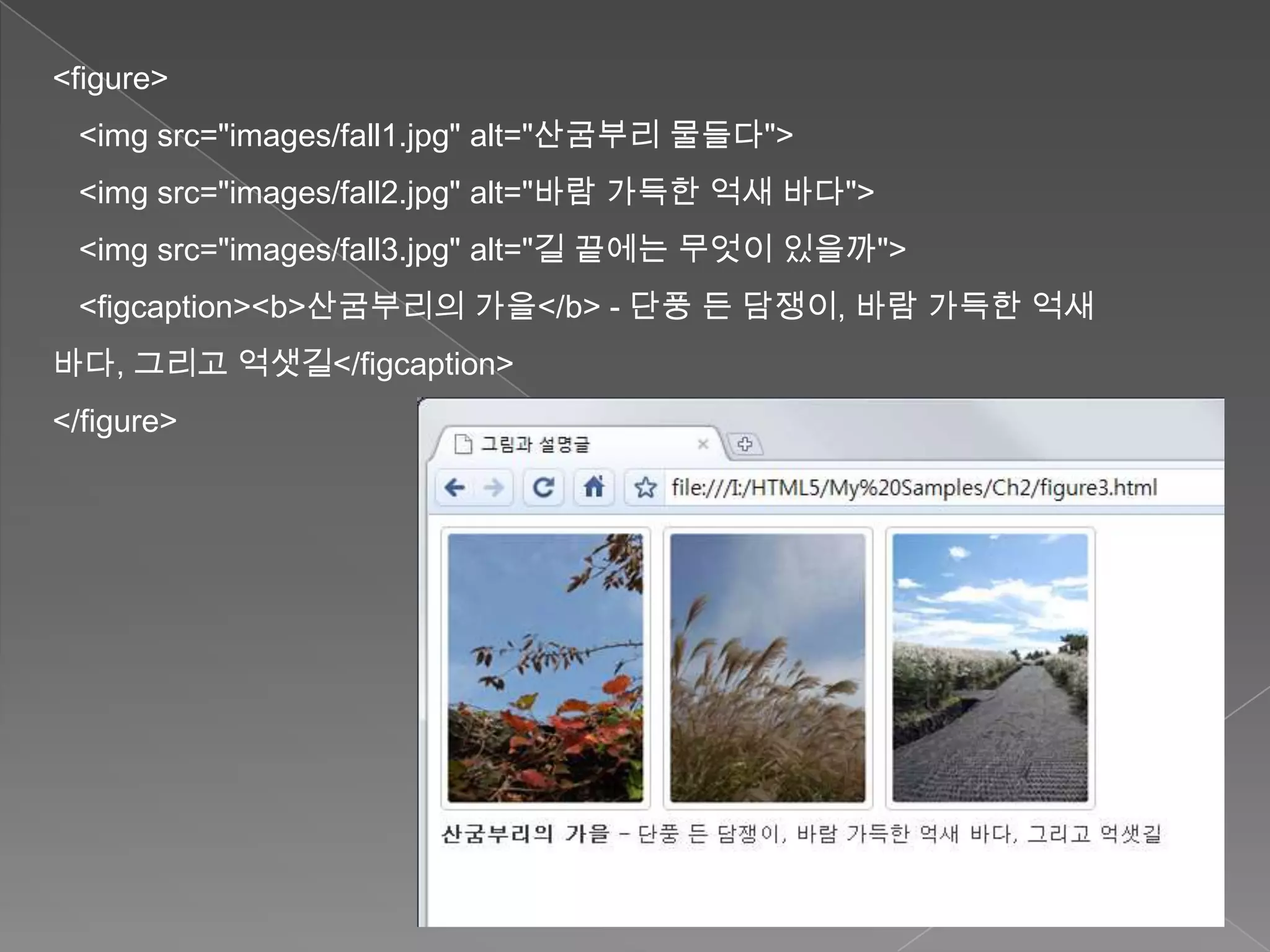 <figure>
 <img src="images/fall1.jpg" alt="산굼부리 물들다">
 <img src="images/fall2.jpg" alt="바람 가득한 억새 바다">
 <img src="images/fall3.jpg" alt="길 끝에는 무엇이 있을까">
 <figcaption><b>산굼부리의 가을</b> - 단풍 든 담쟁이, 바람 가득한 억새
바다, 그리고 억샛길</figcaption>
</figure>
 