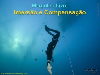 Foto: Carlos Freitas
                                João Costa
                                    Abril.2012
http://www.dbs-freediving.com
 