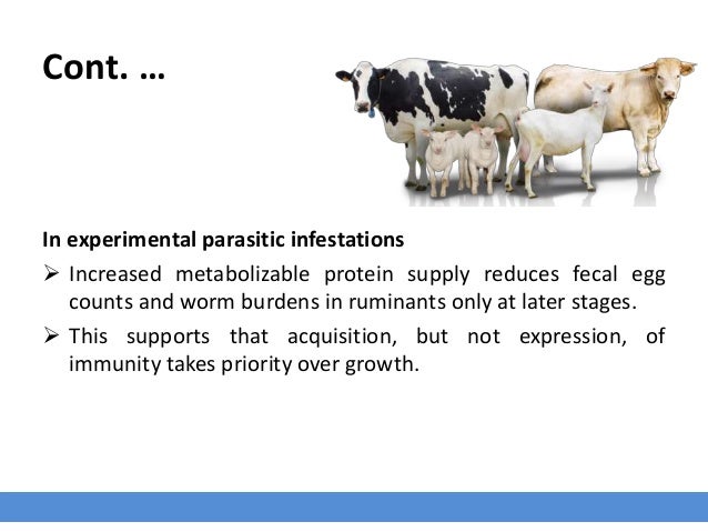 energy cost of reproduction effects on parasite infestations Parasite infection levels may be due to an immune defense cost incurred by males as a result of androgen reproduction: 1) the parasite effect on reproduction is a non-adaptive side effect of infection current reproduction to put energy into future reproductive efforts (chadwick and. energy cost of reproduction effects on parasite infestations Parasite infection levels may be due to an immune defense cost incurred by males as a result of androgen reproduction: 1) the parasite effect on reproduction is a non-adaptive side effect of infection current reproduction to put energy into future reproductive efforts (chadwick and.