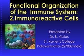 Presented by Dr. B. Victor,  St. Xavier’s College, Palayamkottai-627002,India. Functional Organization  of the  Immune System: 2.Immunoreactive Cells 