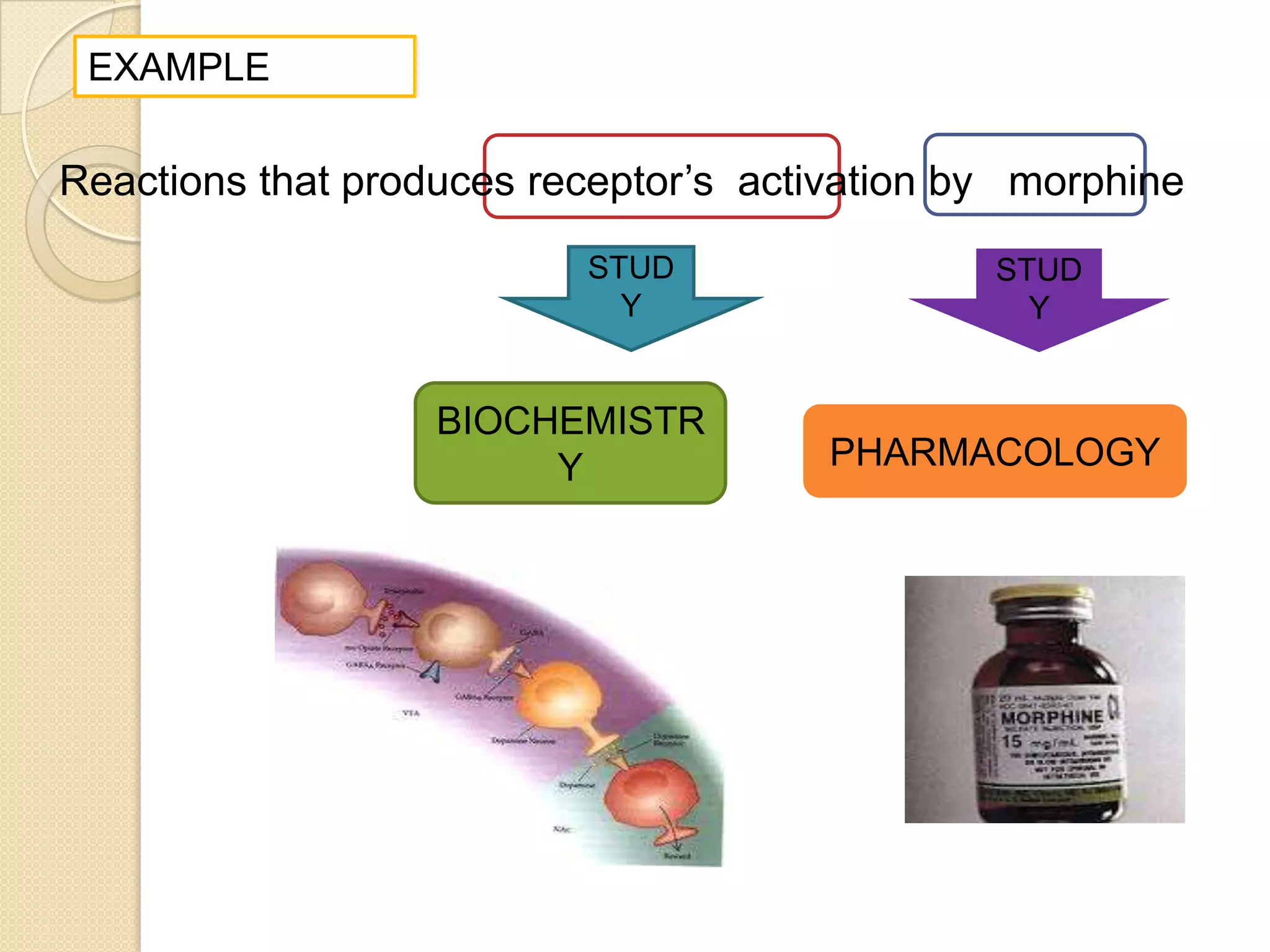 EXAMPLE

Reactions that produces receptor’s activation by morphine
                          STUD                 STUD
                            Y                    Y


                   BIOCHEMISTR
                        Y              PHARMACOLOGY
 
