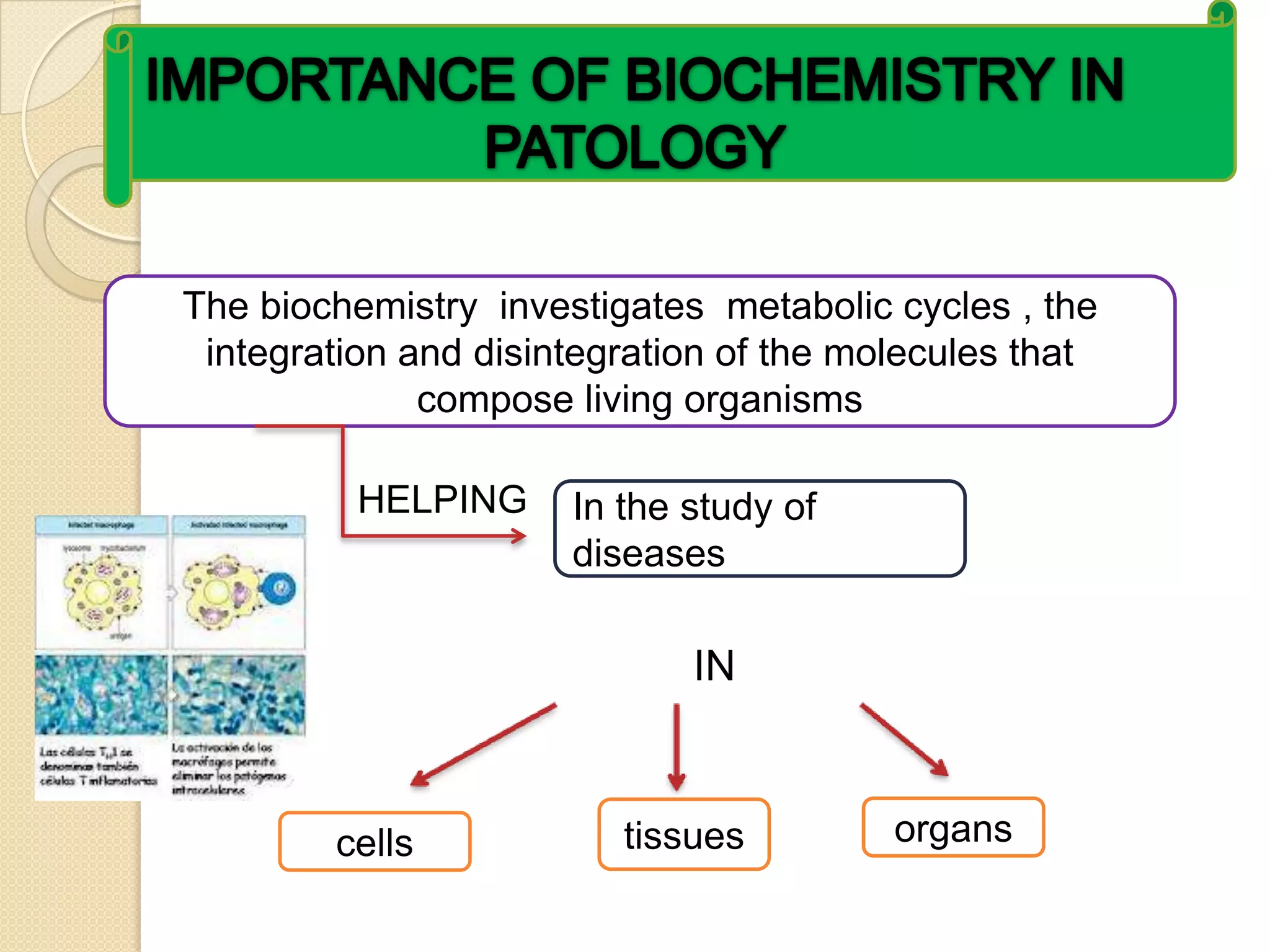 The biochemistry investigates metabolic cycles , the
 integration and disintegration of the molecules that
              compose living organisms

          HELPING     In the study of
                      diseases

                             IN



        cells            tissues         organs
 