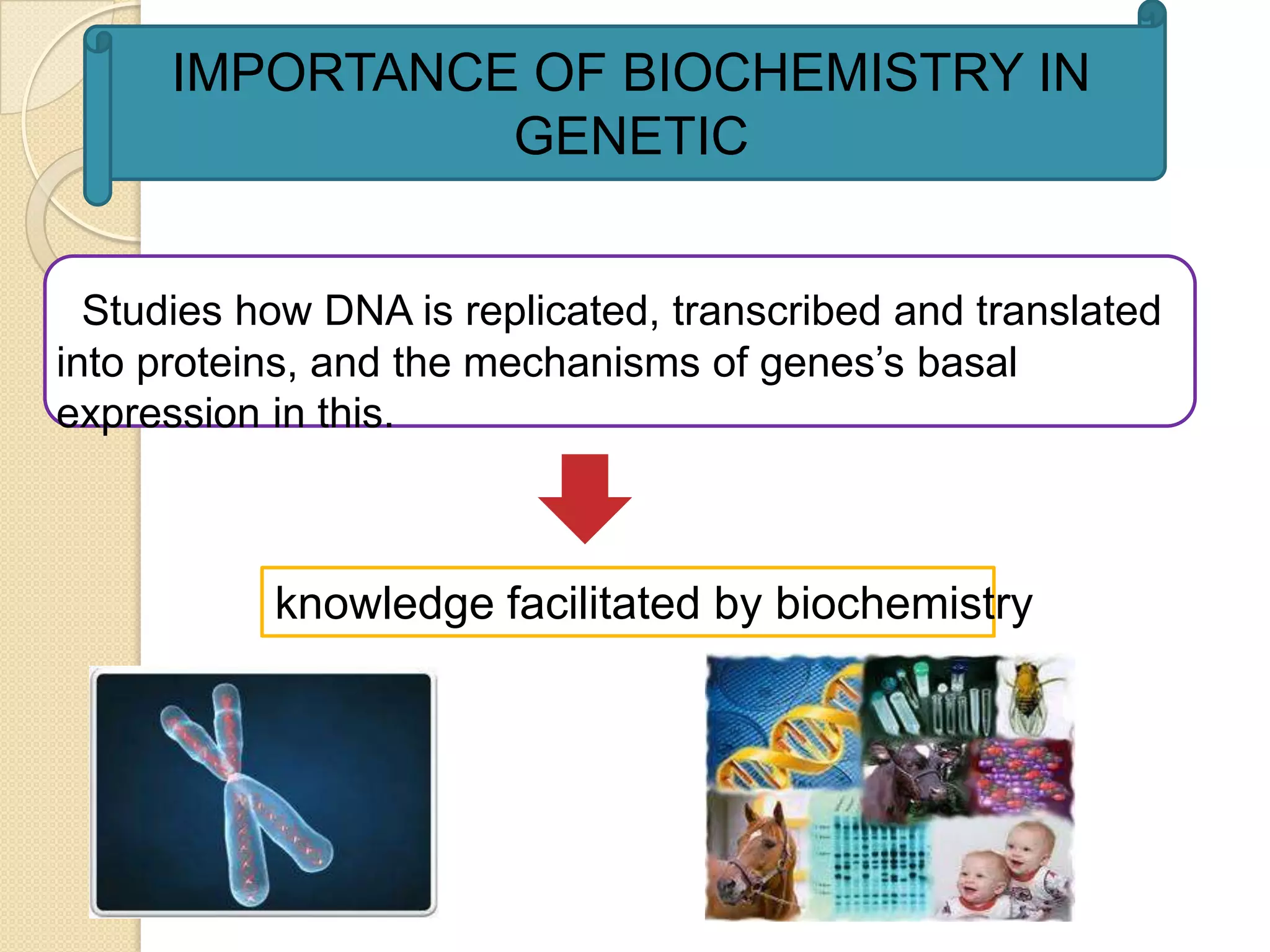 IMPORTANCE OF BIOCHEMISTRY IN
                GENETIC


  Studies how DNA is replicated, transcribed and translated
into proteins, and the mechanisms of genes’s basal
expression in this.



           knowledge facilitated by biochemistry
 