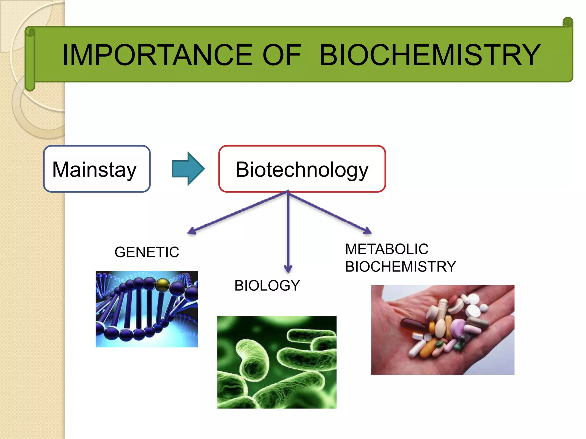 IMPORTANCE OF BIOCHEMISTRY


Mainstay       Biotechnology


     GENETIC             METABOLIC
                         BIOCHEMISTRY
               BIOLOGY
 