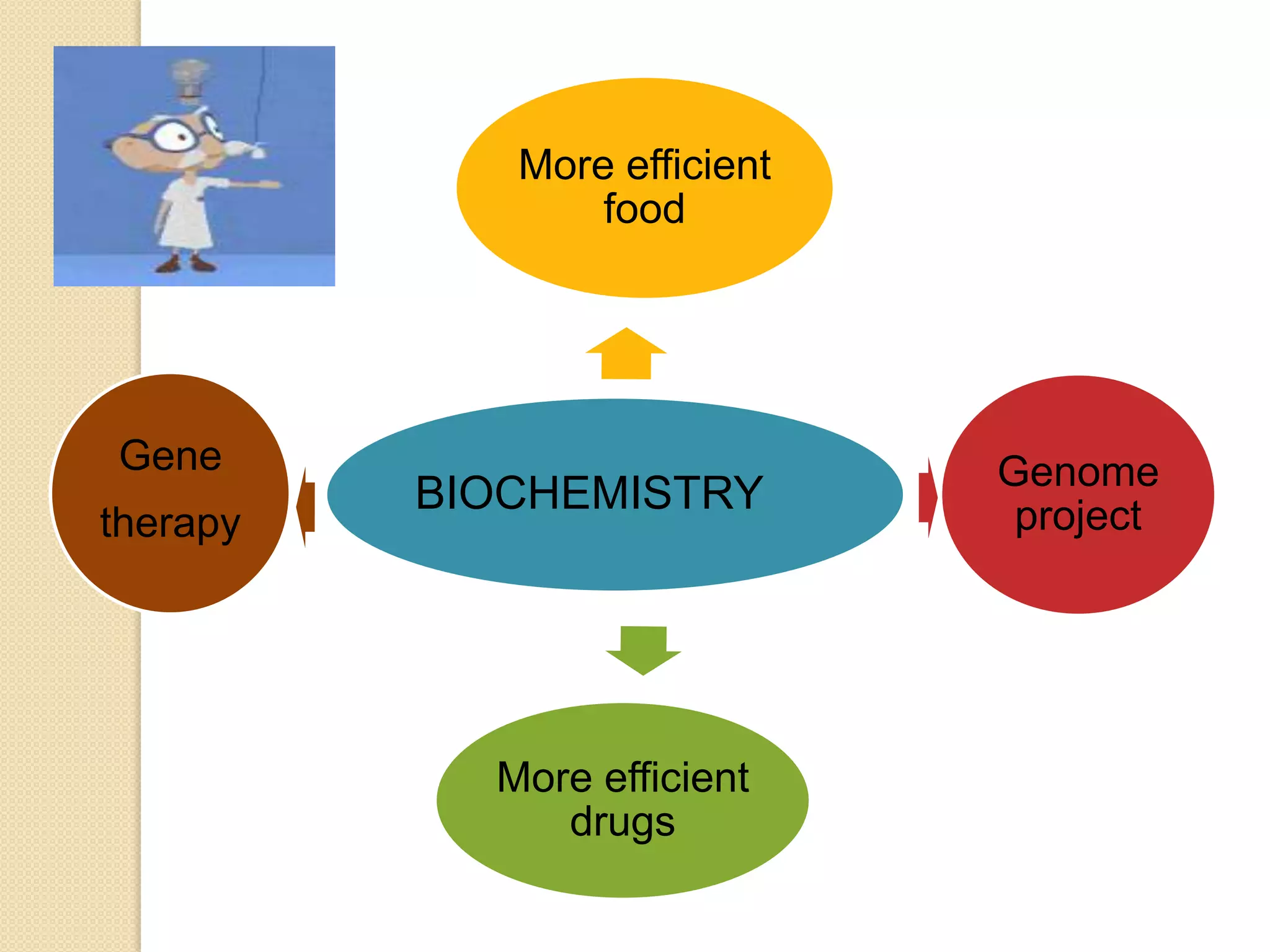More efficient
                 food




Gene                          Genome
          BIOCHEMISTRY         project
therapy




            More efficient
               drugs
 