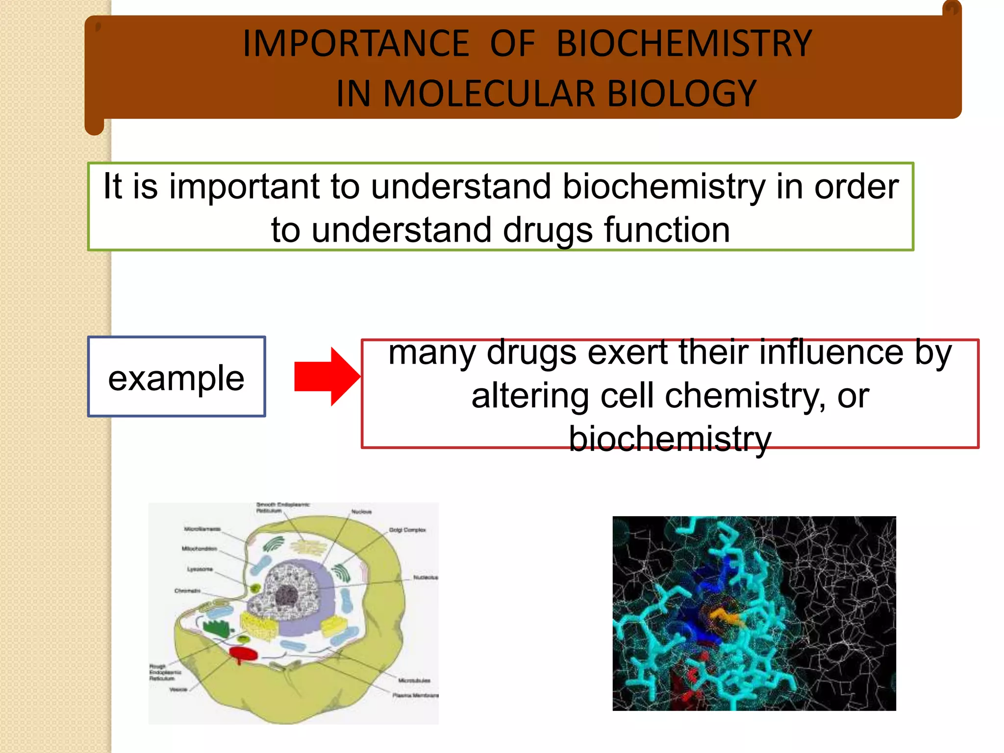 IMPORTANCE OF BIOCHEMISTRY
            IN MOLECULAR BIOLOGY

It is important to understand biochemistry in order
            to understand drugs function


                  many drugs exert their influence by
example               altering cell chemistry, or
                             biochemistry
 