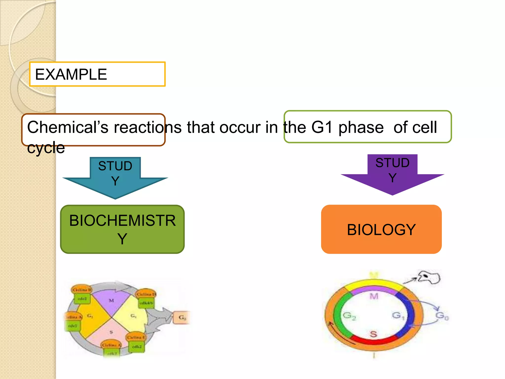 EXAMPLE


Chemical’s reactions that occur in the G1 phase of cell
cycle
         STUD                                 STUD
           Y                                    Y


     BIOCHEMISTR
                                          BIOLOGY
          Y
 