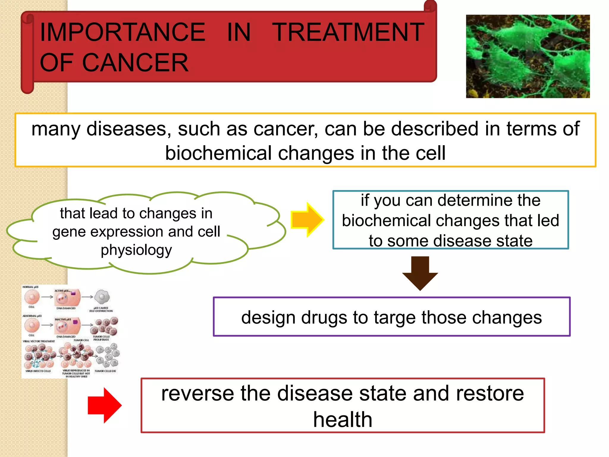 IMPORTANCE IN TREATMENT
OF CANCER

many diseases, such as cancer, can be described in terms of
             biochemical changes in the cell

                                           if you can determine the
   that lead to changes in
                                        biochemical changes that led
  gene expression and cell
          physiology
                                             to some disease state



                             design drugs to targe those changes



                 reverse the disease state and restore
                                 health
 