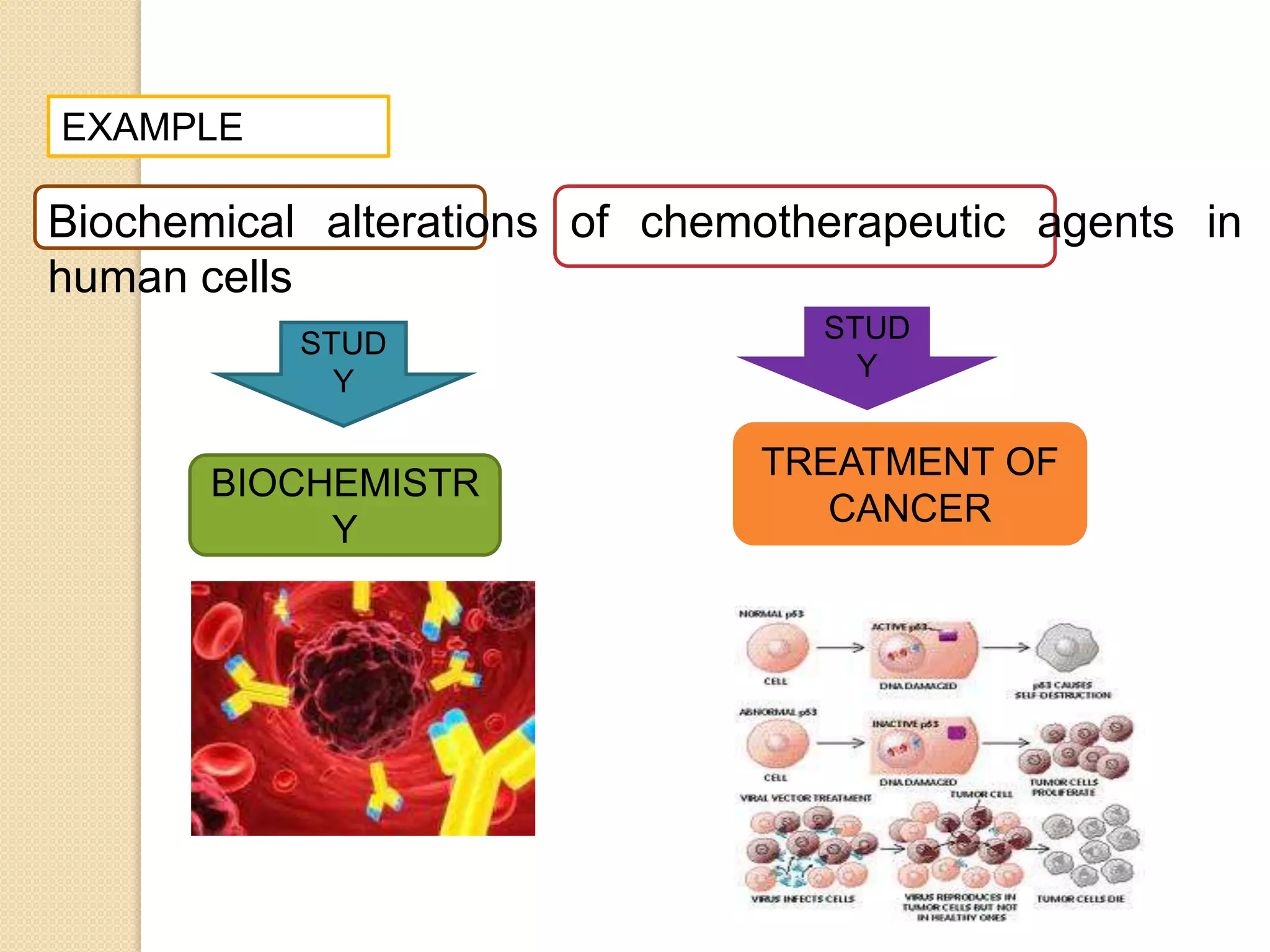 EXAMPLE

Biochemical alterations of chemotherapeutic agents in
human cells
           STUD                   STUD
             Y                      Y


                               TREATMENT OF
       BIOCHEMISTR
                                  CANCER
            Y
 