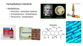Farmacêuticae Industrial
• Antibióticos
• Penicilina – Penicilium notatum
• Estreptomicina – Streptomyces
• Tetraciclina - Streptomyces
Tetraciclina
 