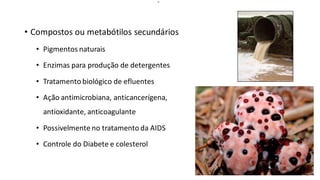 • Compostos ou metabótilos secundários
• Pigmentos naturais
• Enzimas para produção de detergentes
• Tratamento biológico de efluentes
• Ação antimicrobiana, anticancerígena,
antioxidante, anticoagulante
• Possivelmente no tratamento da AIDS
• Controle do Diabete e colesterol
,
 