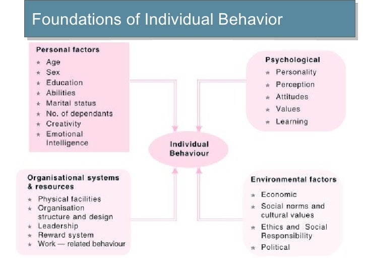 2. individual behavior