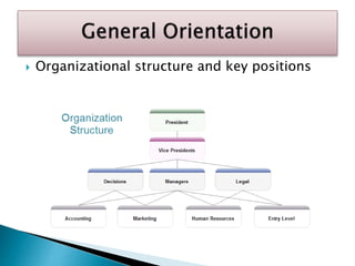  Organizational structure and key positions
 