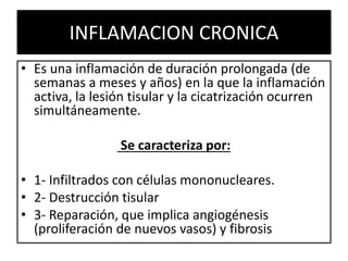 INFLAMACION CRONICA
• Es una inflamación de duración prolongada (de
semanas a meses y años) en la que la inflamación
activa, la lesión tisular y la cicatrización ocurren
simultáneamente.
Se caracteriza por:
• 1- Infiltrados con células mononucleares.
• 2- Destrucción tisular
• 3- Reparación, que implica angiogénesis
(proliferación de nuevos vasos) y fibrosis
 