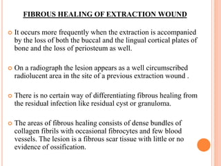 FIBROUS HEALING OF EXTRACTION WOUND
 It occurs more frequently when the extraction is accompanied
by the loss of both the buccal and the lingual cortical plates of
bone and the loss of periosteum as well.
 On a radiograph the lesion appears as a well circumscribed
radiolucent area in the site of a previous extraction wound .
 There is no certain way of differentiating fibrous healing from
the residual infection like residual cyst or granuloma.
 The areas of fibrous healing consists of dense bundles of
collagen fibrils with occasional fibrocytes and few blood
vessels. The lesion is a fibrous scar tissue with little or no
evidence of ossification.
 